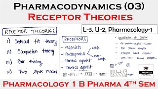 Receptors pharmacology  Receptor theories and Classification of receptors  L3 U2  Pharmacology [upl. by Courtnay]