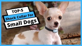 ✅ Best Shock Collar For Small Dogs Shock Collar For Small Dogs Buying Guide [upl. by Cirderf]