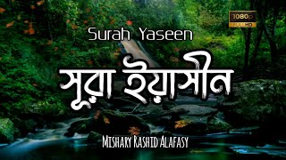 সূরা ইয়াসীন॥Surah YaseenYasin॥Mishary Rashid Alafasy [upl. by Yoko]