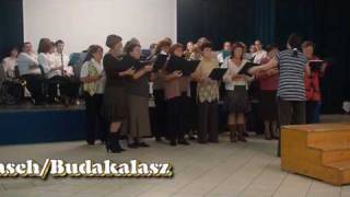 20091127 BudakalaszKalsch Lustige Schwaben Chor [upl. by Ainsley]