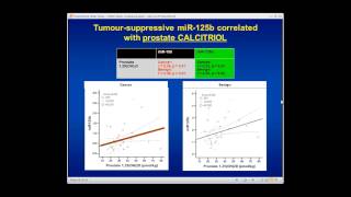 Dr Reinhold Vieth  Vitamin D Reduces Prostate Cancer Associated Lesions [upl. by Llednew]