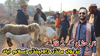 Bakra Mandi Tarnol Rawalpindi Islamabad Update January 2024 [upl. by Ettennig]