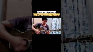 Martyr NyeberaKamikazee introacousticguitar [upl. by Oatis295]