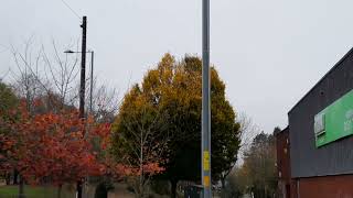 Balsall Heath Autumn Trees on November 3rd 24 [upl. by Leaw987]