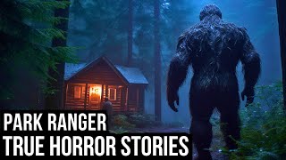 12 TRUE Creepy Park Ranger Horror Stories DogmanSasquatchWendigoSkinwalkerCryptids [upl. by Sanfourd]