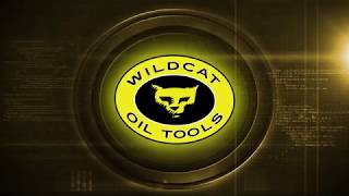 Wildcats XpressDrill Wellbore Departure System [upl. by Hootman446]