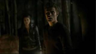 Damon amp Elena 1x13 Scene 8 [upl. by Yud]