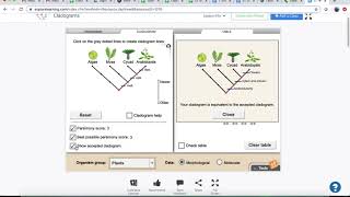 Cladogram Gizmo Tutorial [upl. by Fisuoy814]