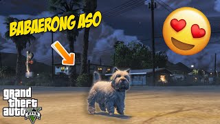 Maging BABAERONG ASO sa GTA V [upl. by Andres]