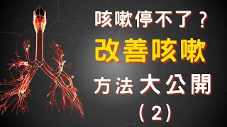 【咳嗽難治療？台灣醫生怕治咳嗽的背後真相下）】咳嗽終極指南 從根本上治療咳嗽Hard to Treat Cough Ultimate Guide to Coughing [upl. by Llenehs761]