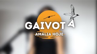 A Gaivota  Perfeito Coração  Lisa Bryer [upl. by Atsuj]