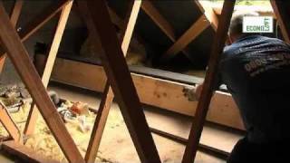 Single Velux Loft Conversion [upl. by Olmstead117]