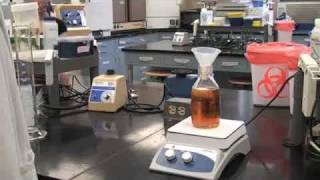 Agar Plate Pouring [upl. by Nipha9]