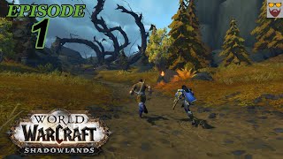 Lets Play WoW  SHADOWLANDS  New Character Leveling  Part 1  Gameplay Walkthrough [upl. by Rehpotsyrhc149]