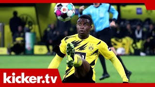 Startet Moukoko Hütter schwärmt von quotaußergewöhnlichem Jahrhunderttalentquot  kickertv [upl. by Zobias]