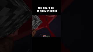 Schizophrenia in Minecraft is crazy 💀  shorts ytshort minecraft [upl. by Yruama113]