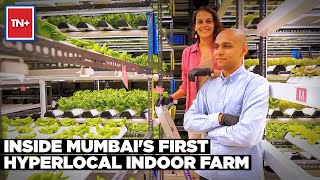 Meet The Couple Running Mumbais First Hyperlocal Farm  Times Now Plus [upl. by Harp]