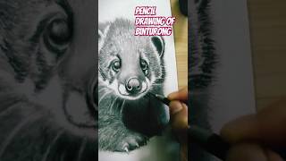 GraphitePencil Drawing  Binturong [upl. by Sotsirhc738]