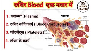 Human Blood  RBCs  WBCs  Platelets  Plasma in Hindi [upl. by Lyndes]