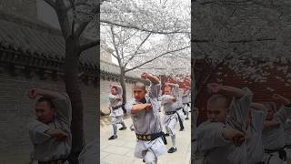 Shaolin Monk balances on spears ✨  Shaolin Temple [upl. by Eoz]