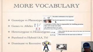 Genetics Vocabulary Tutorial [upl. by Lingwood]