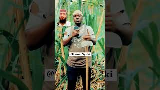 QuranOnlinequranrecitation voiceeffects funny quran nyukibrand [upl. by Mic361]