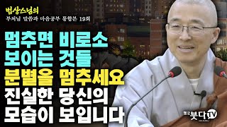 멈추면 비로소 보이는 것들 분별을 멈추세요 진실한 당신의 모습이 보입니다  법상스님의 행복한 마음공부 부처님 말씀과 마음공부 통합본 19회 [upl. by Nahpos]