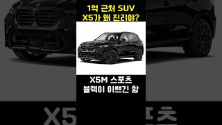 BMW X5가 왜 진리야 [upl. by Arykahs]