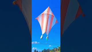 Beautiful kite flying in Sri Lanka 🇱🇰  2023  kite season  bigg kite  kite kiteflying [upl. by Lavine]