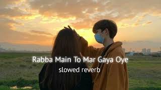 Rabba Main To Mar Gaya Oye SlowedReverd [upl. by Mezoff]