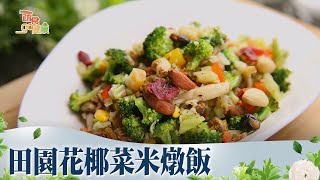 田園花椰菜米燉飯《蔬食GO健康》EP 471 [upl. by Crooks454]