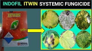 Indofil Itwin fungicides dosesDisease Control uses vegetablescymoxanil 50 [upl. by Mosby]