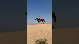 Horse riding in desert Full video how we doing music clipmyhorsetv horsenation horsephotograpy [upl. by Adnalor]