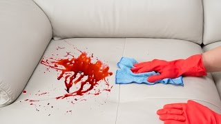 How To Remove a Stain from a Sofa [upl. by Yrol240]