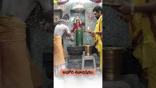 Aghori Abisekam srivedam  aghori abhisekham shiva srivedam viral trending ytshorts [upl. by Giorgi492]