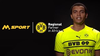 MSport x BVB [upl. by Enneicul]