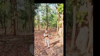 main Sahar ke rani babu ka batao tolacg aapkidishuyoutubeshorts dance [upl. by Esiuolyram]