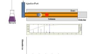 Gas Chromatography Animation [upl. by Lledyl]