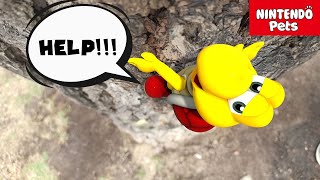 Saving Koopa Troopa nintendo mario [upl. by Caren]