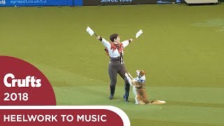 Heelwork to Music  Freestyle International Competition Part 3  Crufts 2018 [upl. by Ataga4]