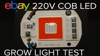 Ebay mains COB LED grow light test [upl. by Aretse]