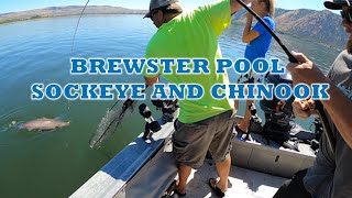 Brewster Pool Sockeye and Chinook Fishing [upl. by Bonner577]