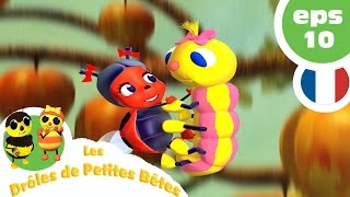 DRÔLES DE PETITES BÊTES  EP10  La feuille idéale [upl. by Letty]