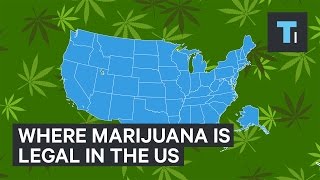 Where Marijuana Is Legal In The US [upl. by Analeh]