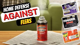 Best Flea Bombs For Home  Protect Your Home amp Pets from Fleas Easily [upl. by Wade904]