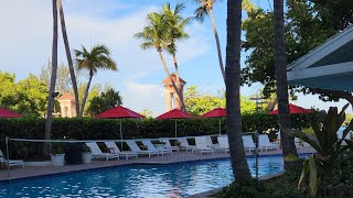 Condado Plaza Hilton Hotel Puerto Rico 🇵🇷 Beachfront Pool [upl. by Nylirahs]