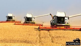 4 Claas Lexion 760  580 Mähdrescher am Gerste dreschen Ernte 2014 in Lützow [upl. by Celka]