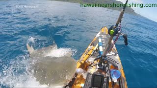 Shark attacks kayak off coast of Hawaii [upl. by Worth858]