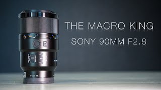 The Macro King 👑  Sony 90mm F2 8 Macro G OSS  Sharpness Portrait amp Video Test [upl. by Lekzehcey]