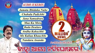 SUPER HIT BHAJAN OF ARABINDA MUDULI JAMATU BHIDAKU NUNHEALBUMKANHA AASE NANDIGHOSA RE [upl. by Desirea]